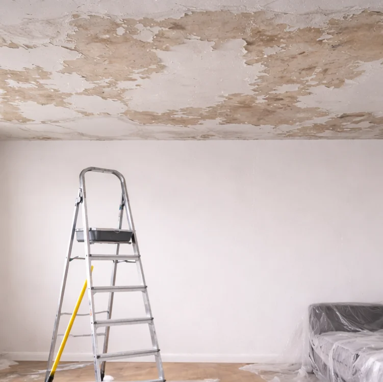 tmf_14 Deckengestaltung TMF Dienstleistungen GmbH