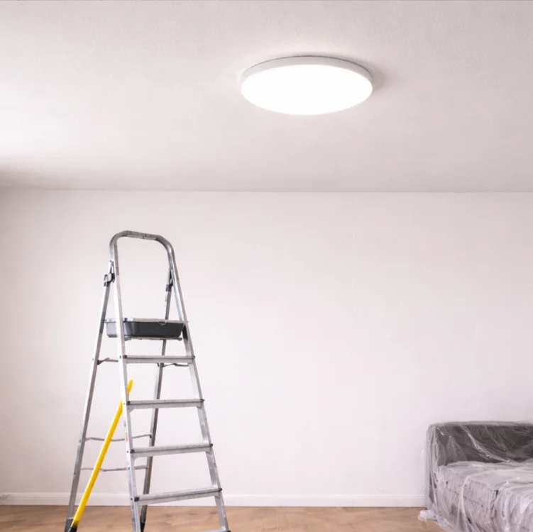 Deckengestaltung TMF Dienstleistungen GmbH